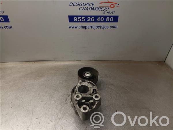 Skoda Fabia Mk1 (6Y) Tensor de correa del alternador