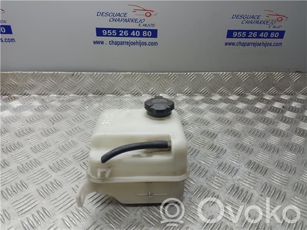 Vas expansiune combustibil   254302S000