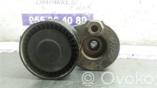 Renault Kangoo I Întinzător curea generator/alternator 