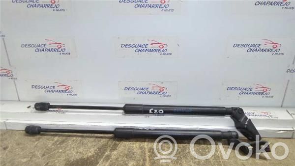 KIA Ceed Tampon hayon/capotă portbagaj 
