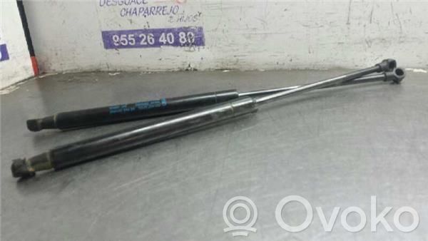 Ford Ka Amortiguador del maletero/compartimento de carga 