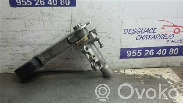 Peugeot 308 Napinacz paska alternatora 