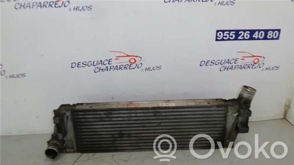 Renault Megane II Radiator intercooler 