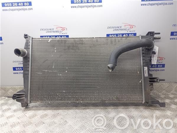Renault Megane III Radiator ulei motor 