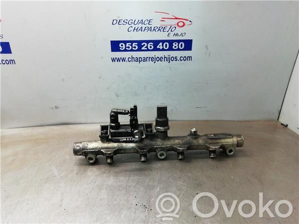 Citroen C5 Rampa inyectora 