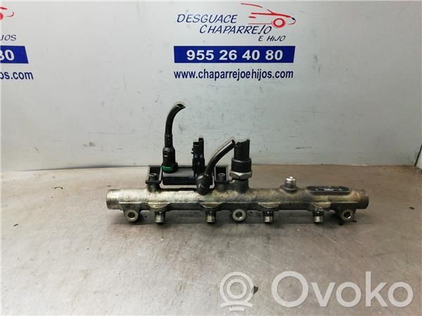 Citroen C5 Rampa inyectora 