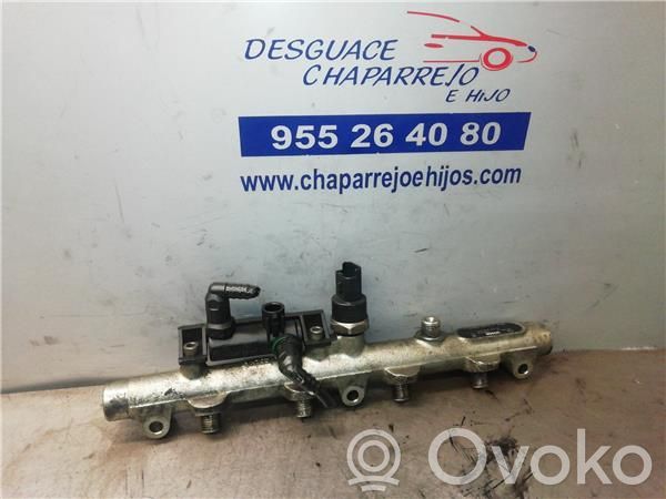 Citroen C5 Rampa inyectora 