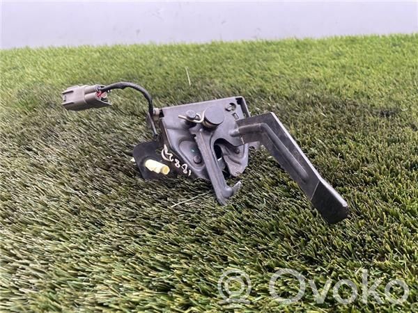 MG ZS Tie down hook / loop 