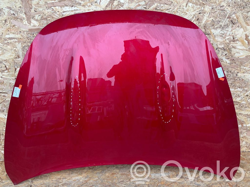 ORA Funky Cat Motorhaube 