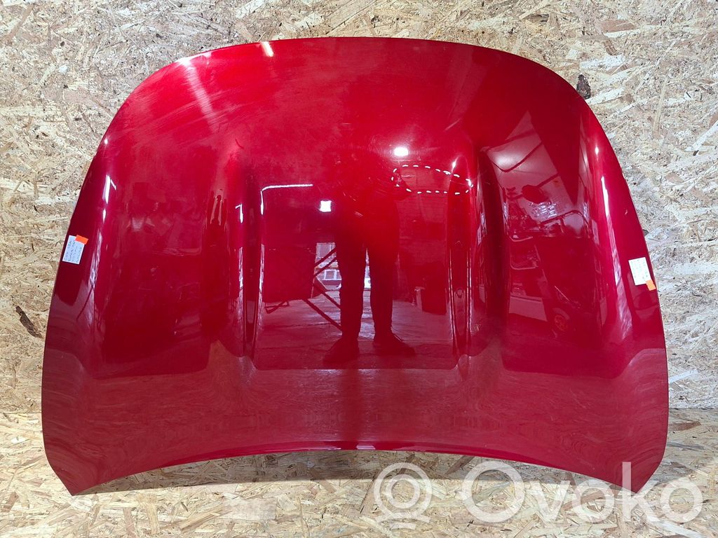 Motorhaube   B53048