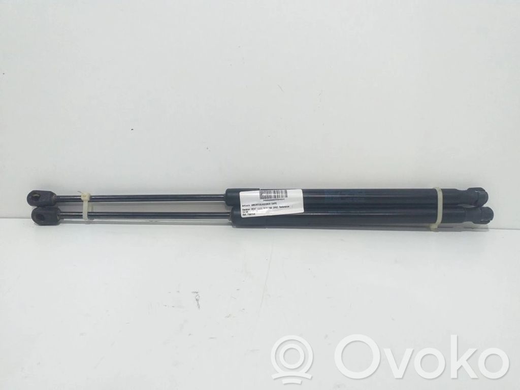 Konepellin kaasujousi   3R9827550