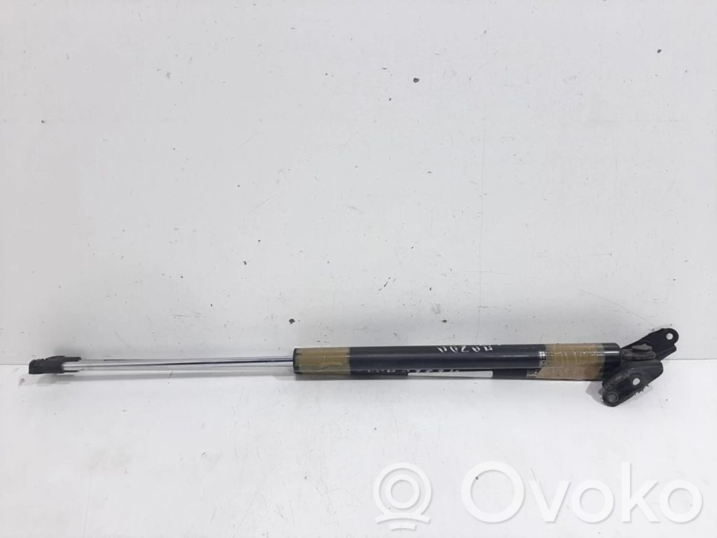 Tailgate/trunk strut/damper