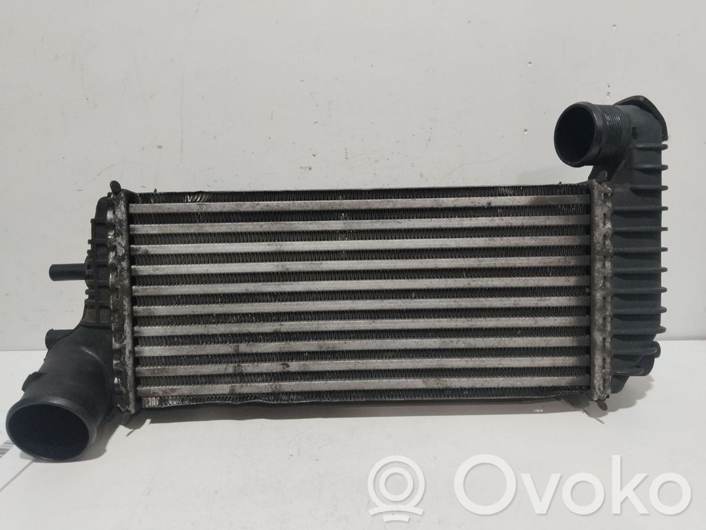 Interkūlerio radiatorius   BV619L440CK