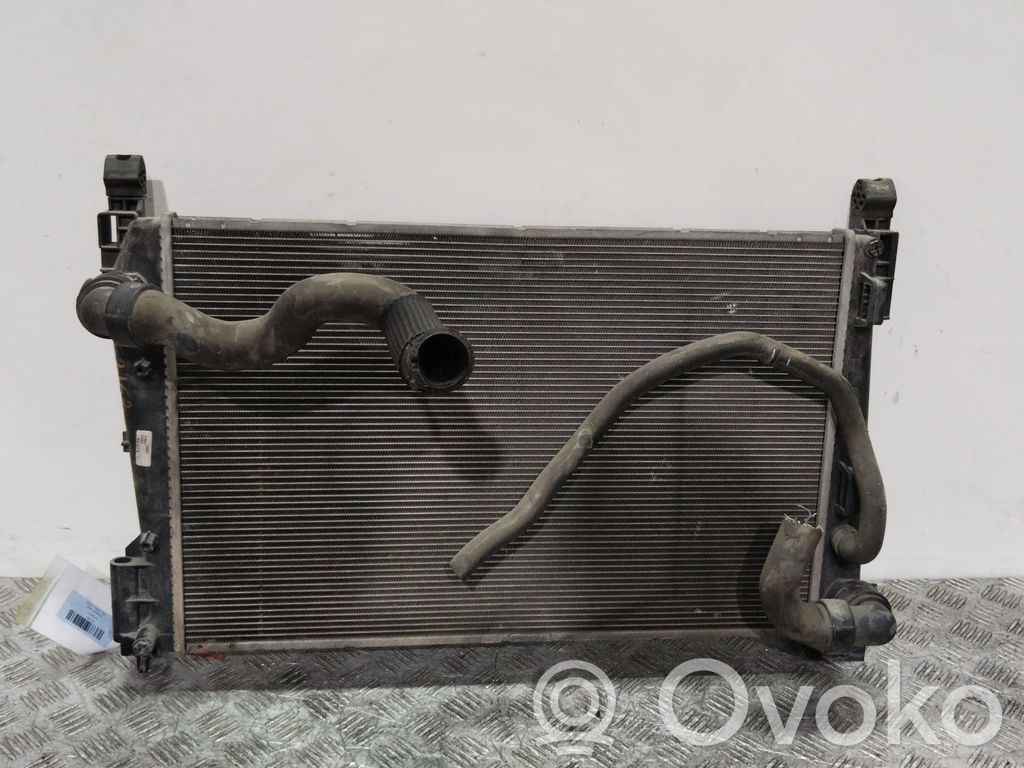 Radiatore di raffreddamento   877660010