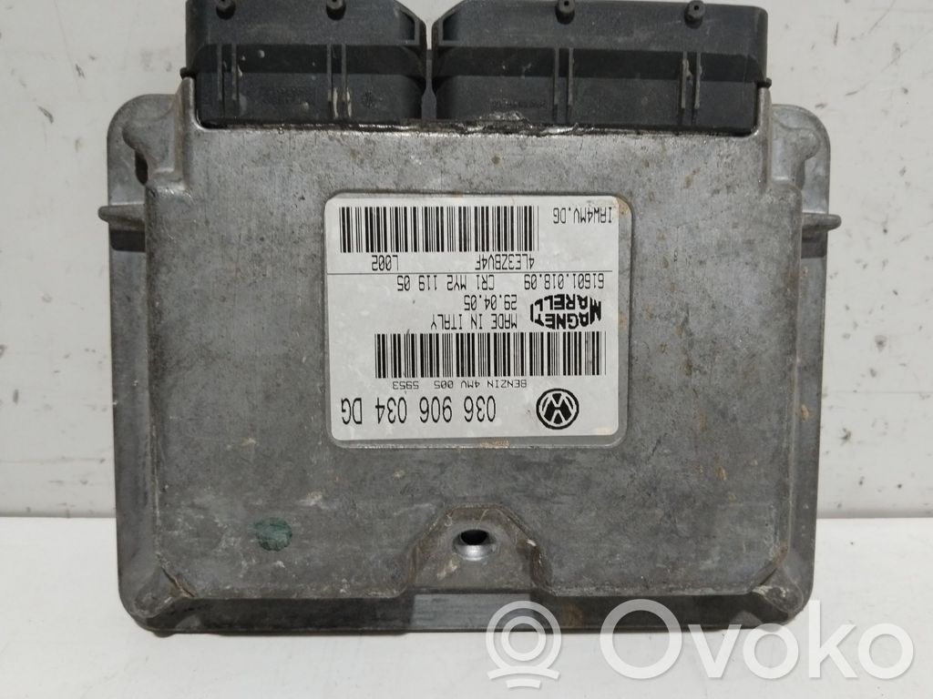 Seat Ibiza III (6L) Centralina/modulo del motore