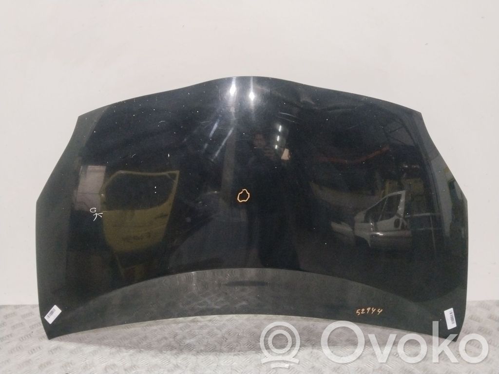 Toyota Prius (XW30) Vano motore/cofano 