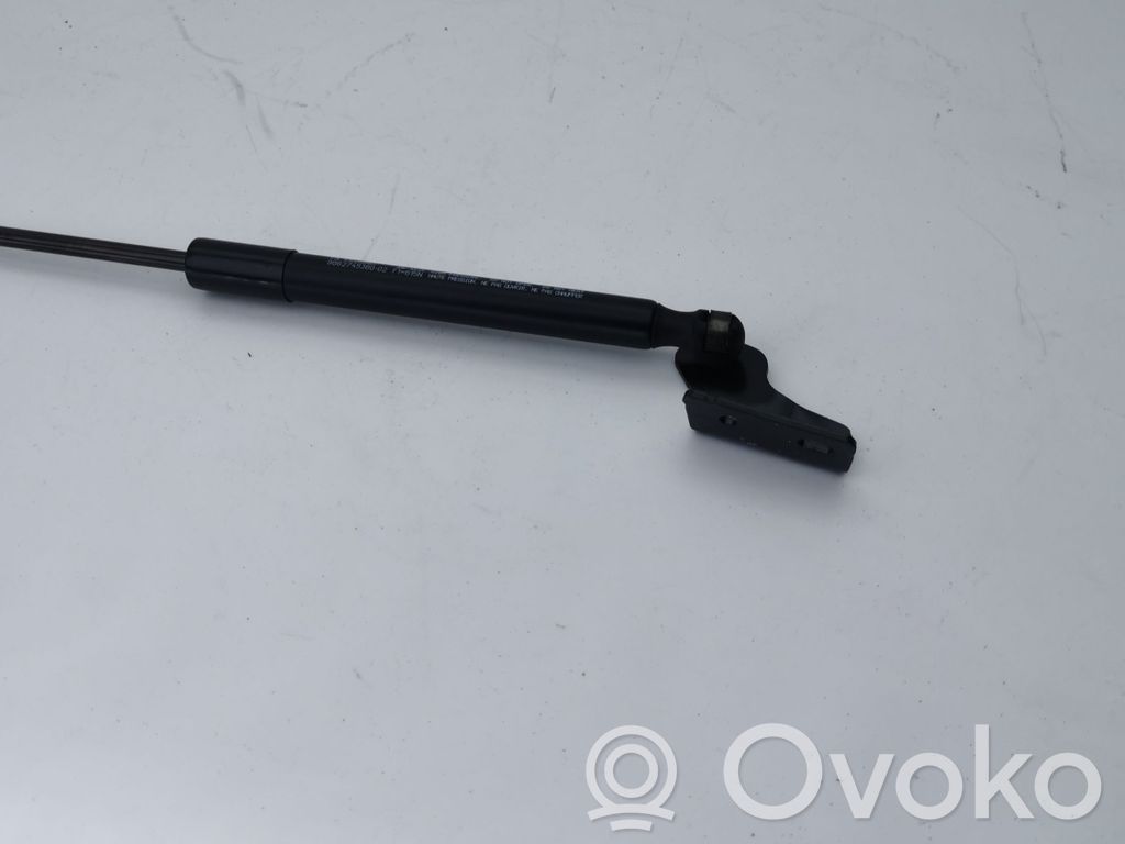 Citroen e-C3 Tailgate/trunk strut/damper 