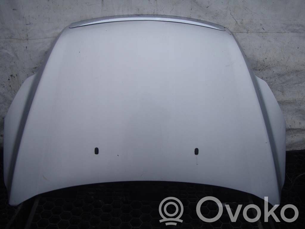 Motorhaube