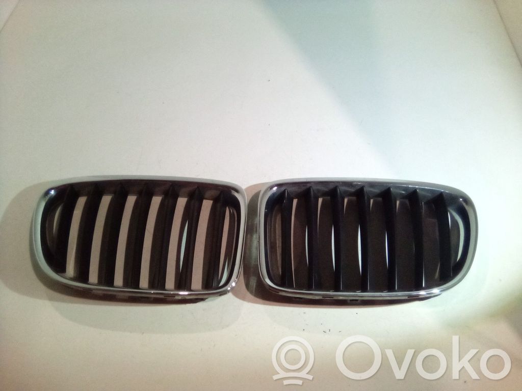 Front grill   51117347667