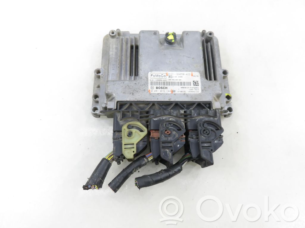 Ford Fiesta Engine control unit/module 