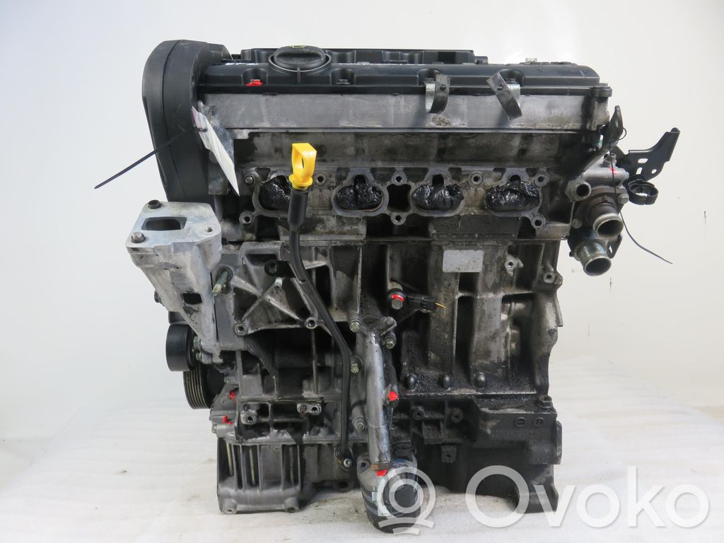 Variklis   6FZ,6FZ