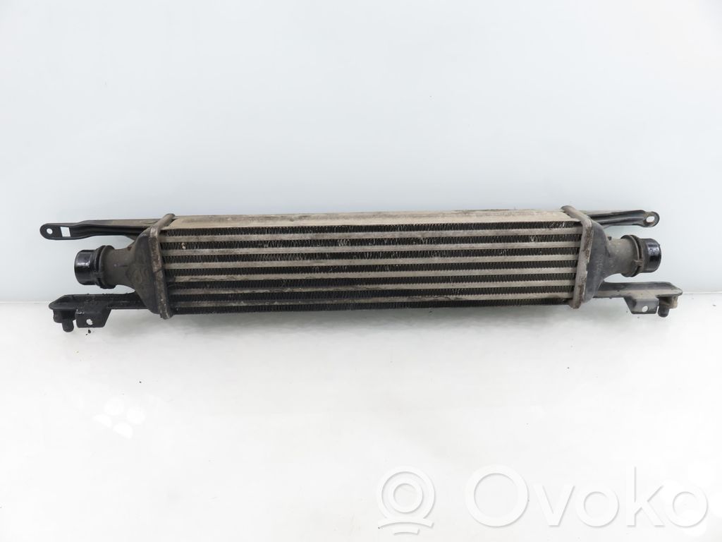 Intercooler radiator