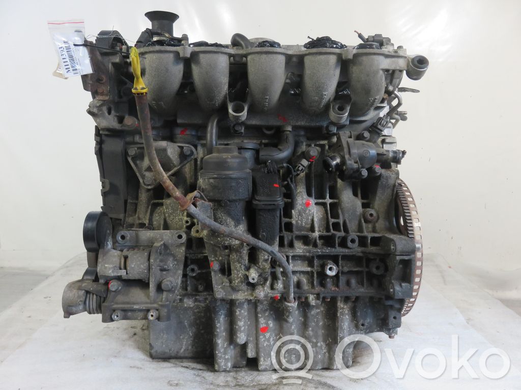 Dzinējs   B5244S5,B5244S5
