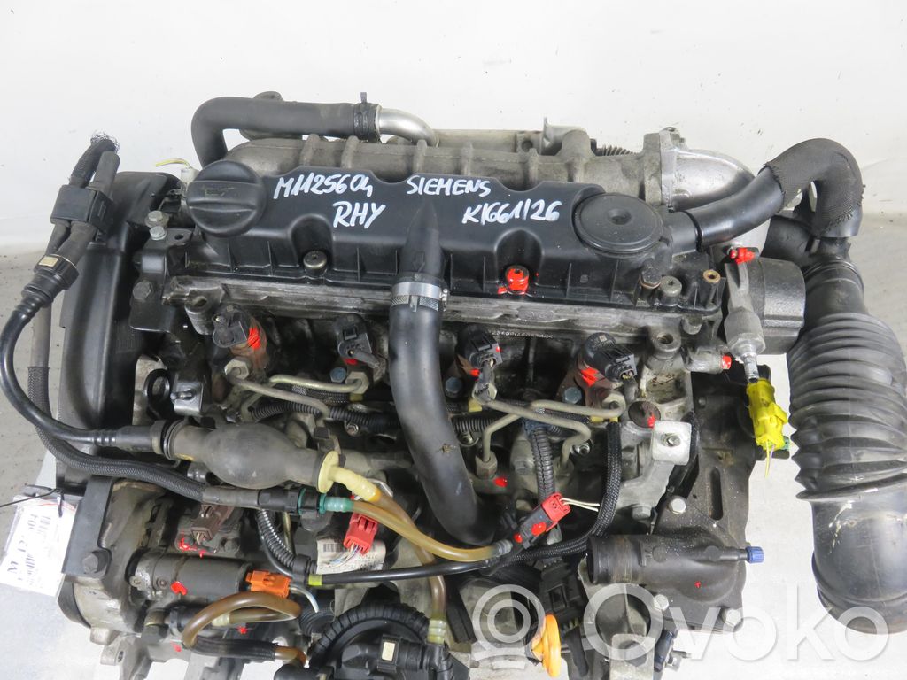 Moottori   DW10TD,RHY,DW10TD,RHY