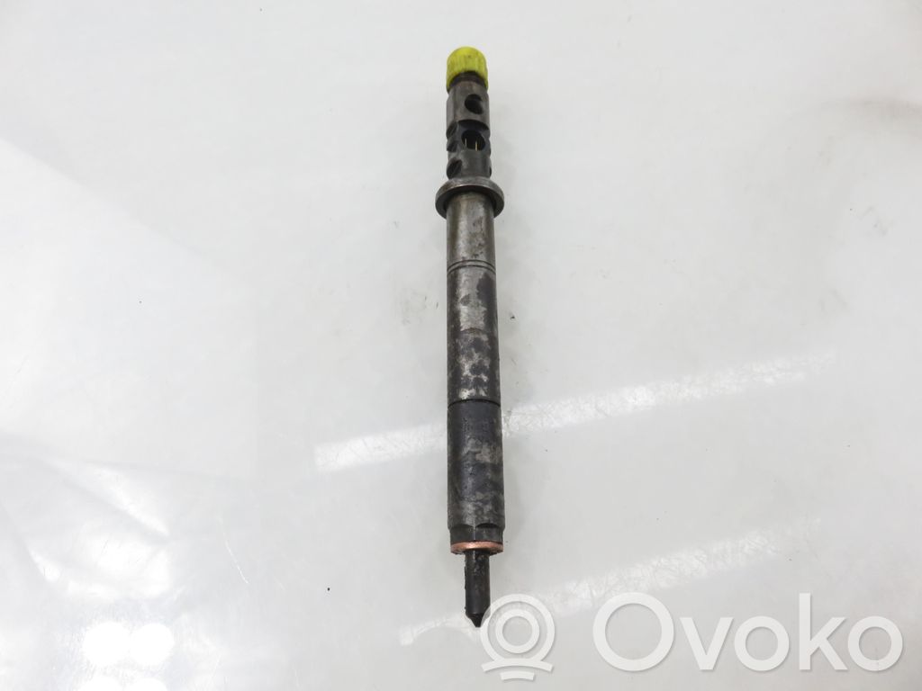 Citroen C3 Fuel injector 