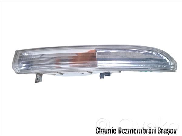 Frontblinker   3C8953041