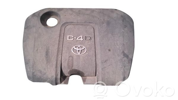 Engine hood trim