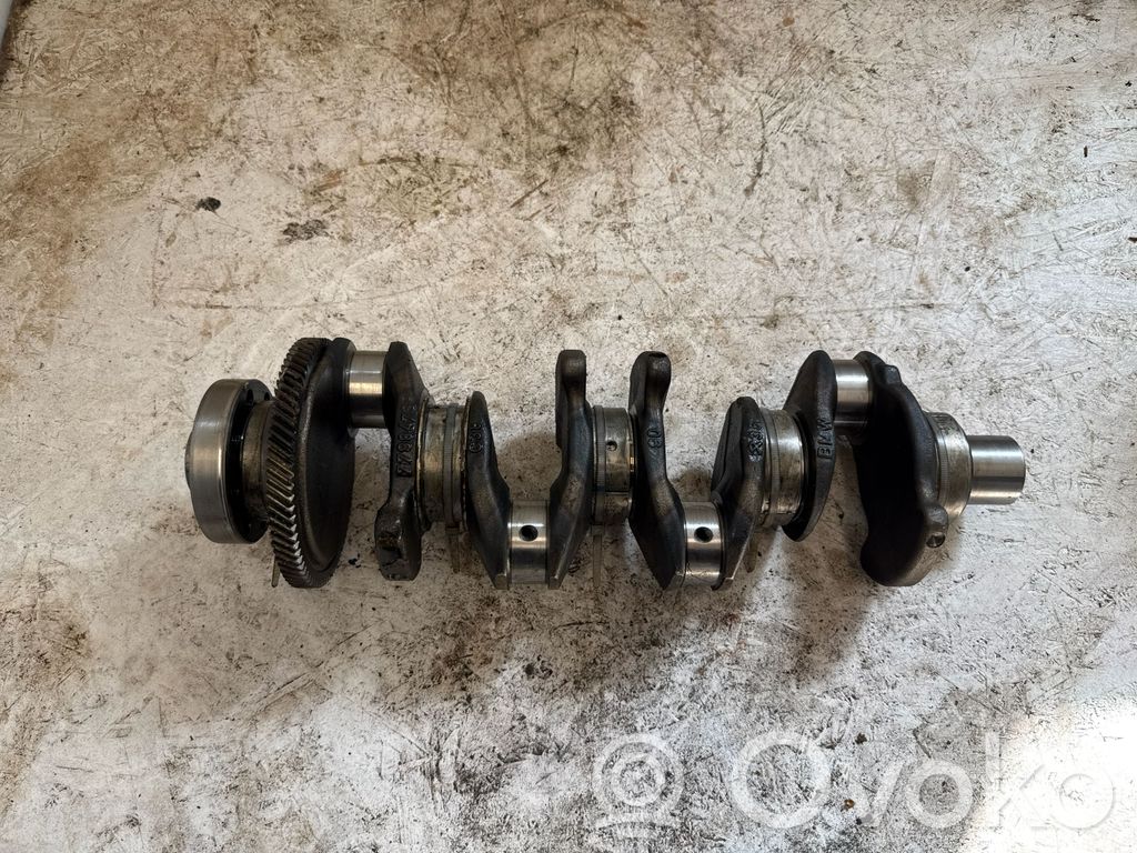Crankshaft   7798473