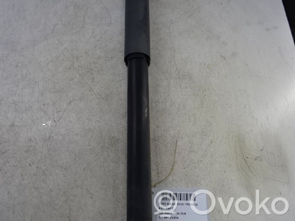 Stoßdämpfer hinten