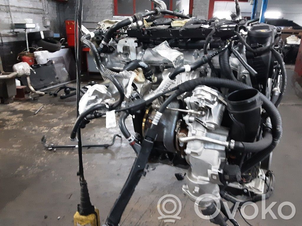 Motor   DMS,DMS