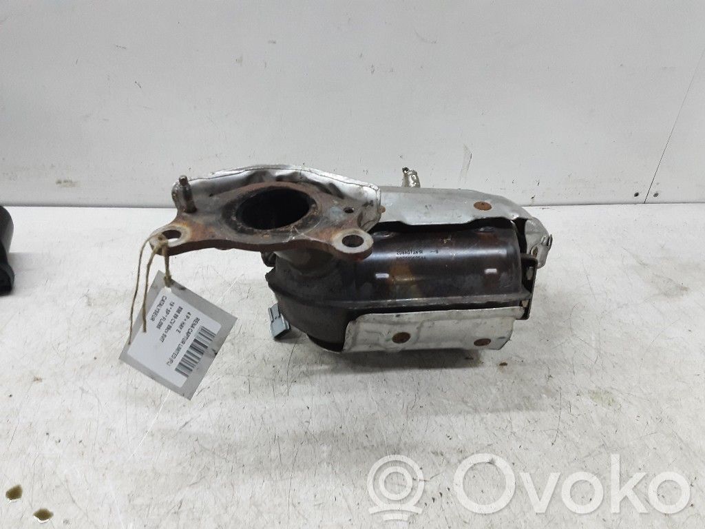 Catalyst/FAP/DPF particulate filter   208A07241R,208A07241R