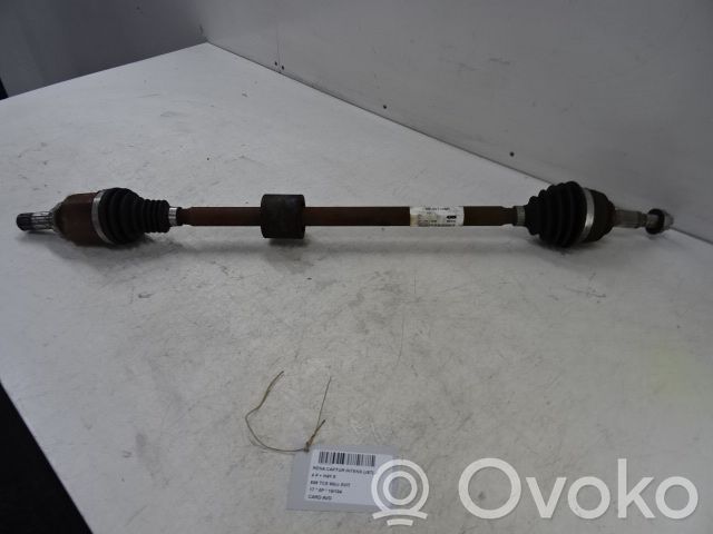 Semiasse anteriore   391007556R,391007556R