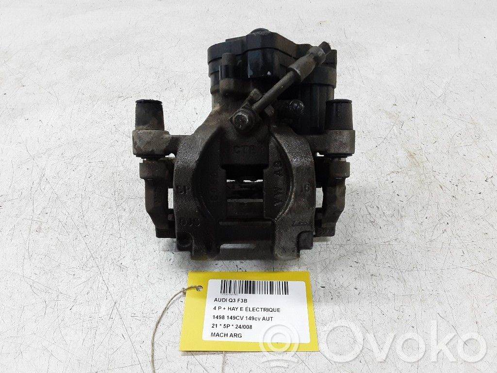 Takajarrusatula   3Q0615405,3Q0615405