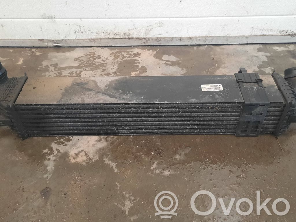Renault Laguna III Chłodnica powietrza doładowującego / Intercooler 
