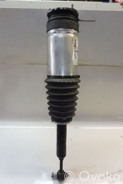 Rear shock absorber/damper   1027461,A16G00113920,1027461,A16G00113920