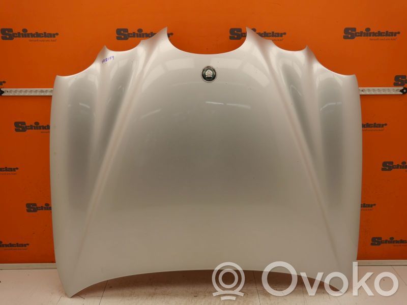 Engine bonnet/hood