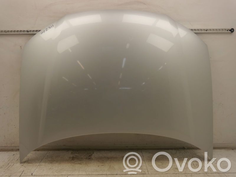 Motorhaube