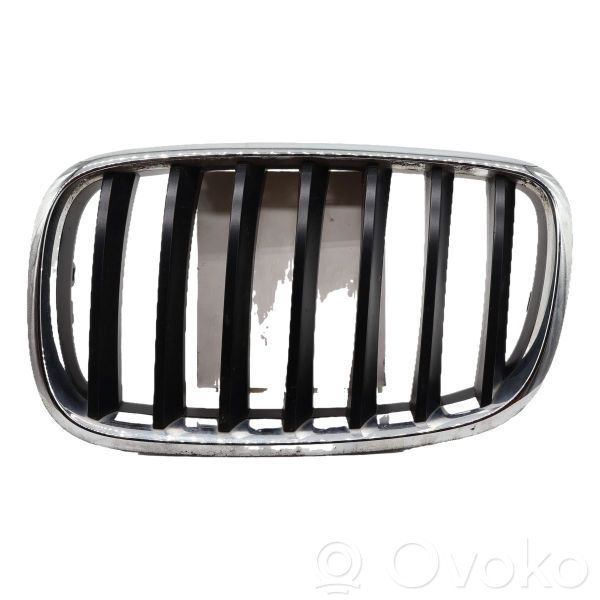 BMW X5 E70 Front grill 
