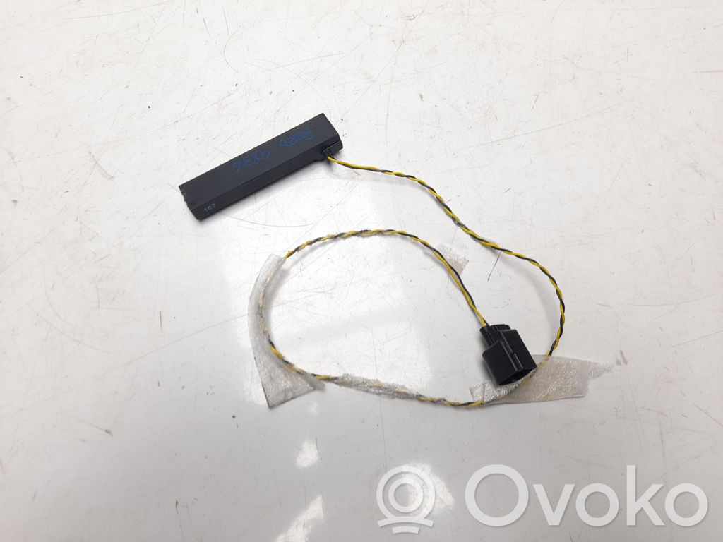 Ford Ecosport Radion antenni 