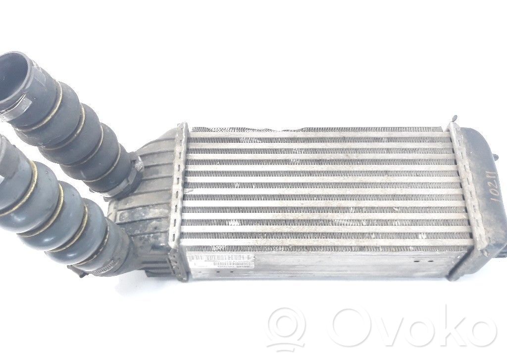Starpdzesētāja radiators   1440084580