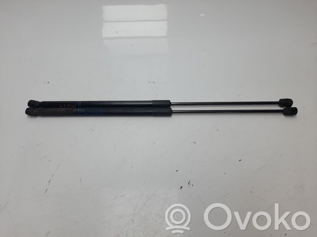 Tailgate/trunk strut/damper   39089133