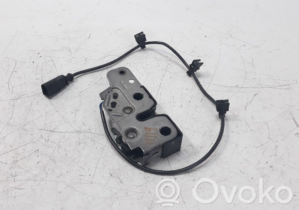 Tie down hook / loop   7NL823509B