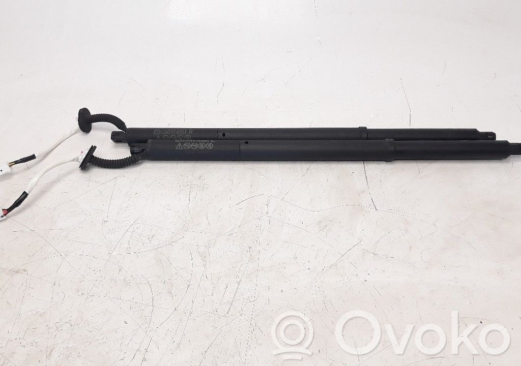 Amortizor hayon   DFR7636EX,DFR7636EX,DFR7626EX