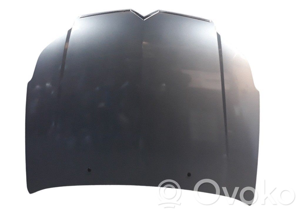 Engine bonnet/hood   7901L4,109073330,CI5223100
