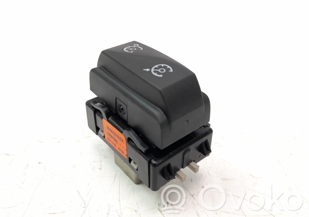 Interruptor de control multifunción   255502666R
