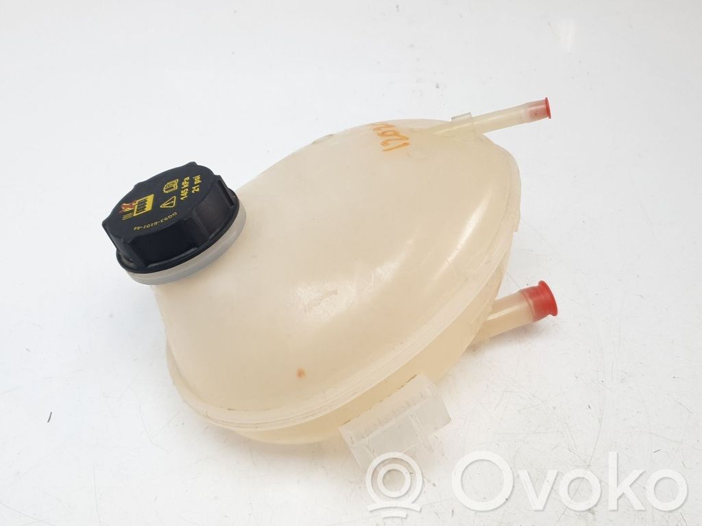 Kuro išsiplėtimo bakelis   GN118A080AA